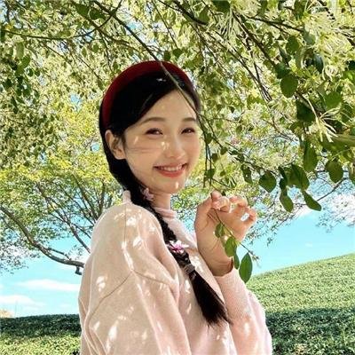 绝密档案 在线观看